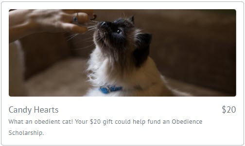 $20 micro donation amount with image of a cat and caption that reads, "What an obedient cat! Your $20 gift could help fund an Obedience Scholarship."