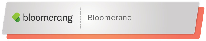 Read on to learn more about Bloomerang and its nonprofit fundraising software.