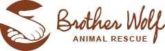 Image for Brother Wolf Animal Rescue